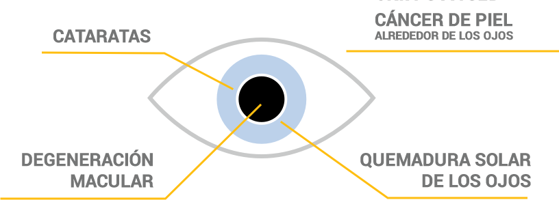 Los ojos de los niños son más susceptibles al daño solar